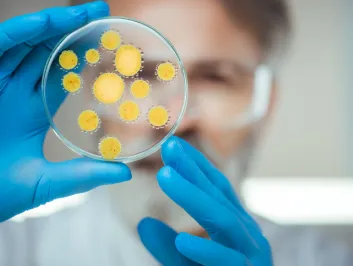 Doctor in lab looking at a petri dish of bacteria