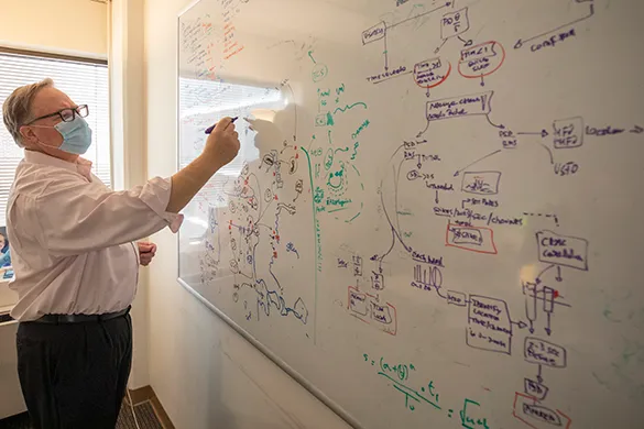 A male writes on a dry erase board already covered in several multicolored chemistry equations
