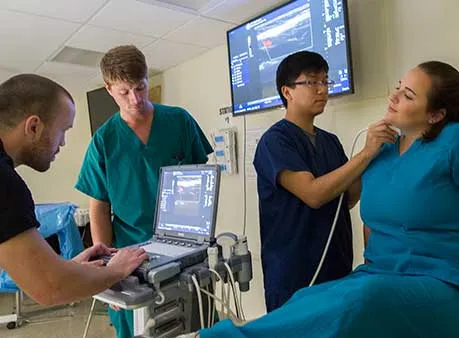 Students practice ultrasound