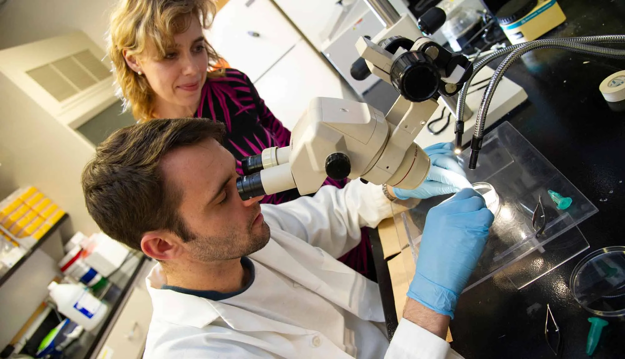 Elena Galkina, PhD, Professor of Microbiology and Molecular Cell Biology, supervises as a student studies a slide under the microscope.
