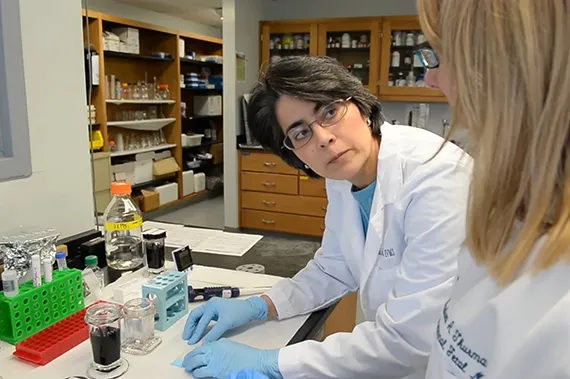 Reproductive endocrinologists work together in the lab.