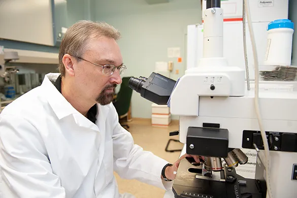 Dr. Larry Sanford studies a slide under a microscope.