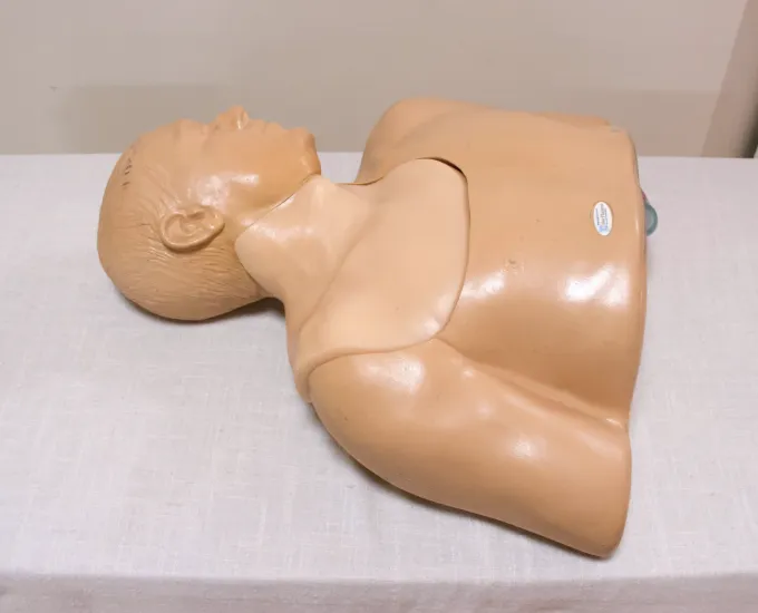 BLUE PHANTOM Central Line Ultrasound Training Model