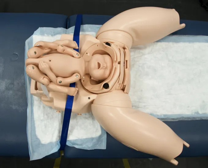 Limbs and Things PROMPT Birthing Simulator
