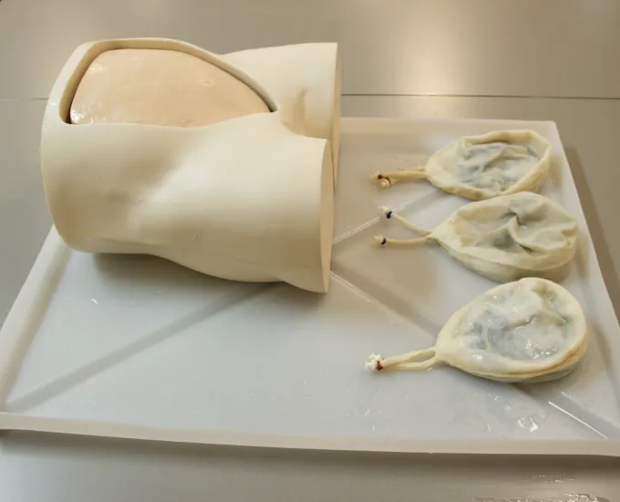 Syndaver CVS and Amniocentesis trainer