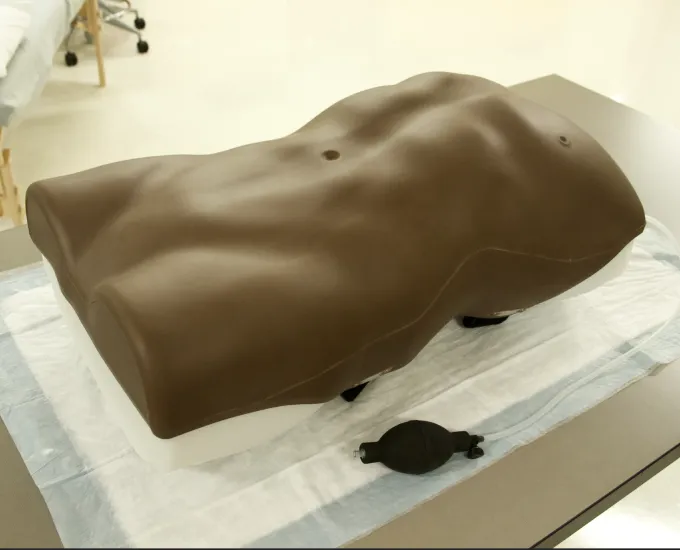 limbs & things Abdominal Examination Trainer