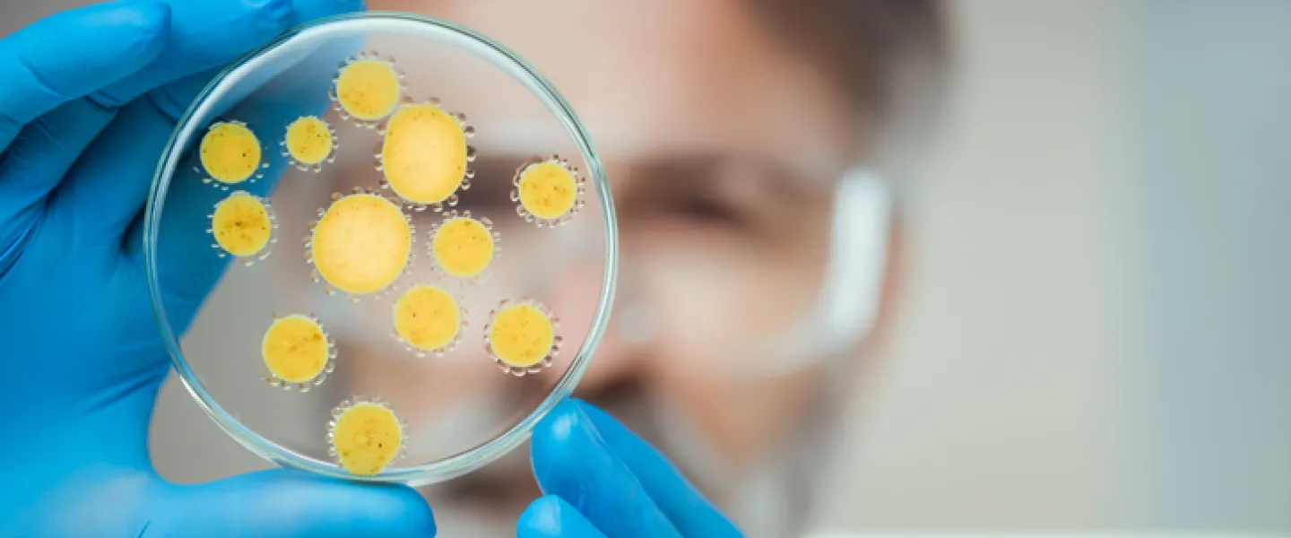 Doctor working in laboratory with a petri dish