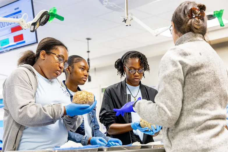 students holding brain
