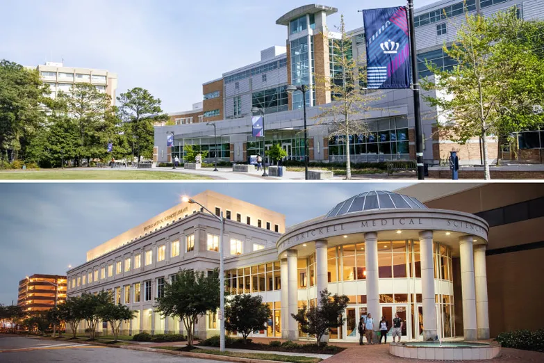 Perry and Brickell Libraries